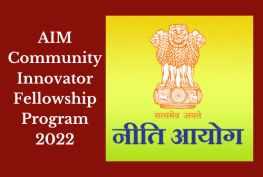 AIM Community Innovator Fellowship Program 2022