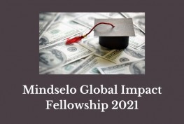 Mindselo Global Impact Fellowship 2021
