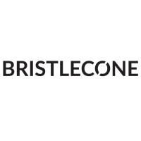 Bristlecone