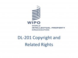 DL-201 Copyright and Related Rights(version 2)[DL201E21S1]