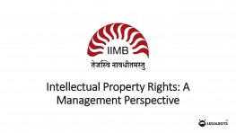 Intellectual Property Rights: A Management Perspective
