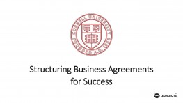 Structuring Business Agreements for Success